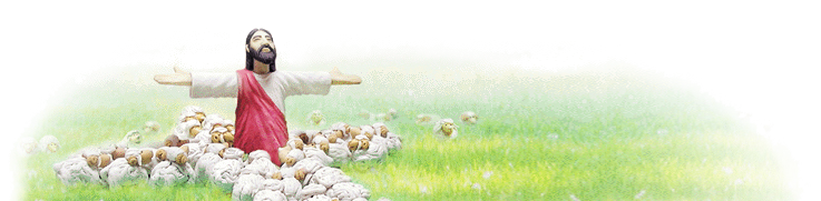 교회 인터넷사역의 동역자 교회사랑넷